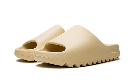 Slide - Bone
